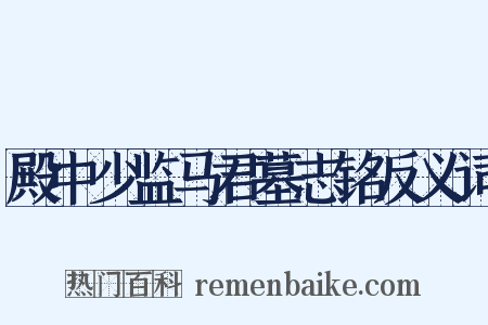 殿中少监马君墓志铭反义词是什么意思的图片